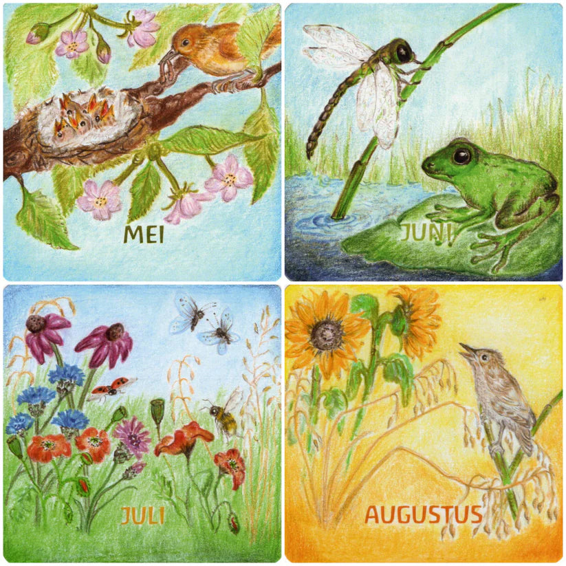KAARTEN & ILLUSTRATIES