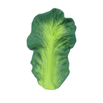 Oli&Carol bijtring Kendall the Kale, vorm van een boerenkoolblad