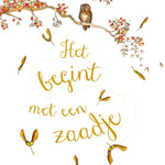 Christofoor boek Het begint met een Zaadje met omslagillustratie van een grote boom