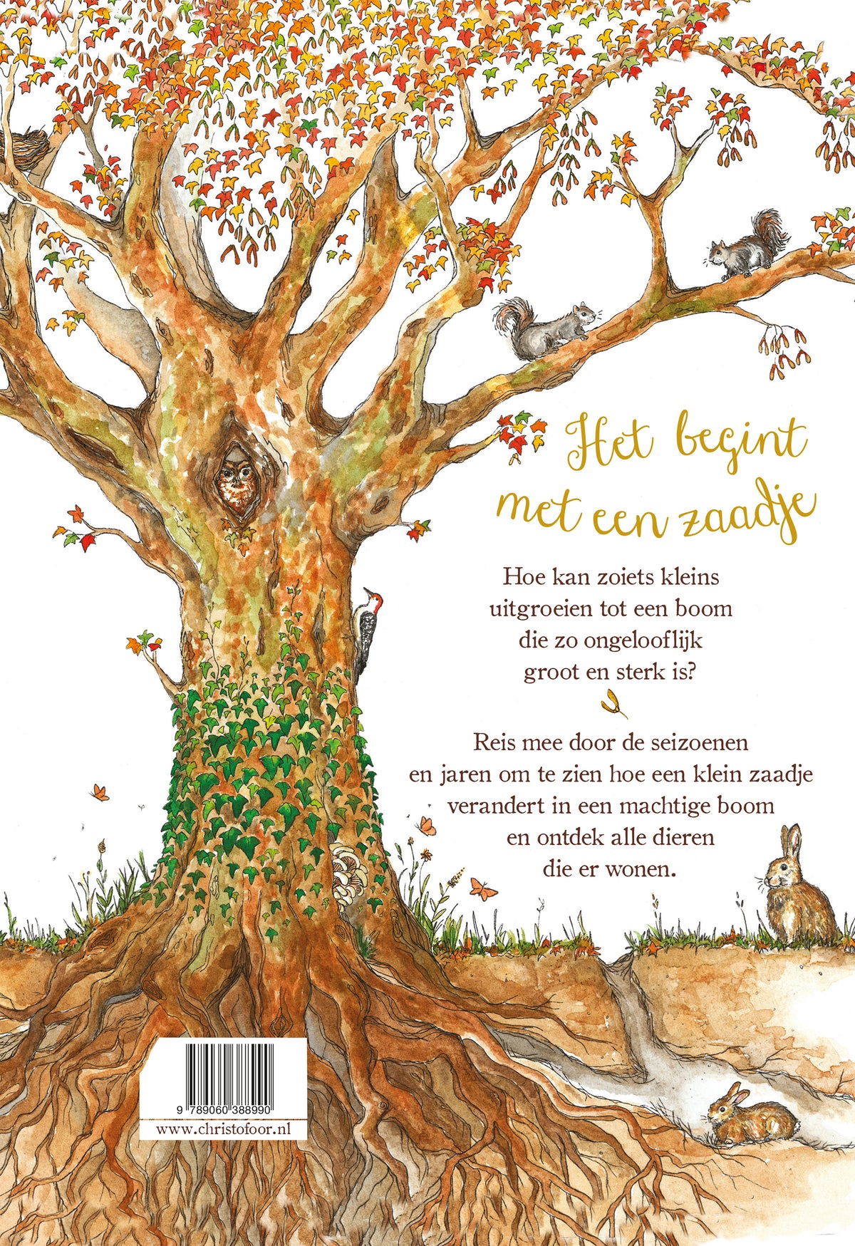 Achterkant van Het begint met een Zaadje