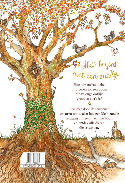 Achterkant van Het begint met een Zaadje