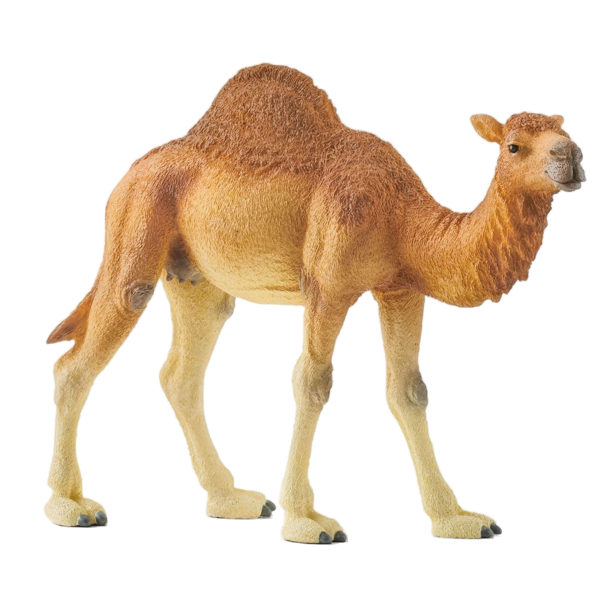 Schleich speelfiguur dromedaris