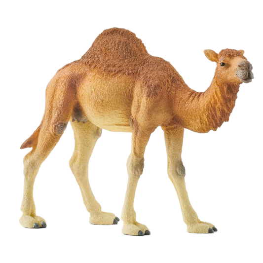 Schleich speelfiguur dromedaris