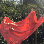 Reuzenspeelknijper origineel, set van 2 | Speelbelovend