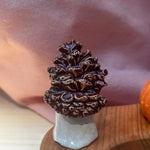 Keramieken steker Dennenappel | Lekker Sofisch