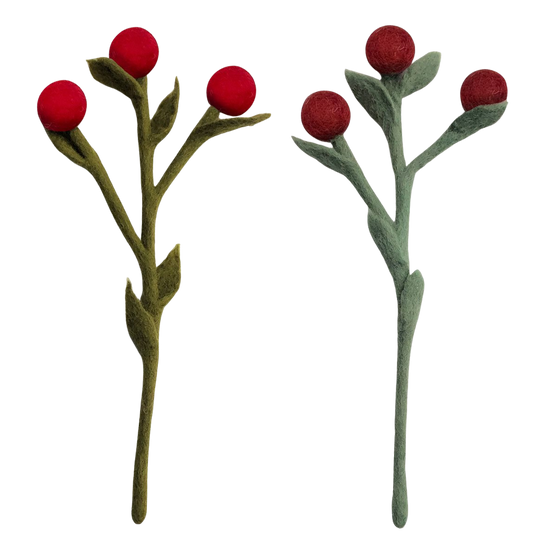 Craspedia, vilt en rood | Gamcha