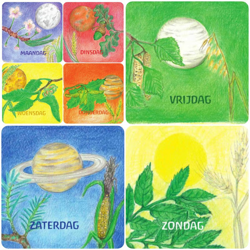 Set van zeven geïllustreerde dagen-van-de-week kaarten van Eentje van Margo