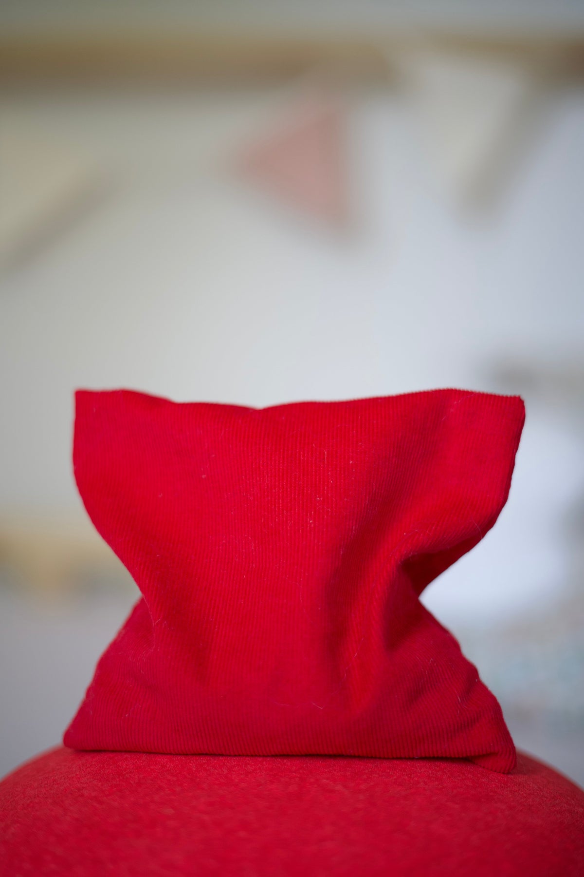 Pit & Play sensorisch pittenzakje in rood