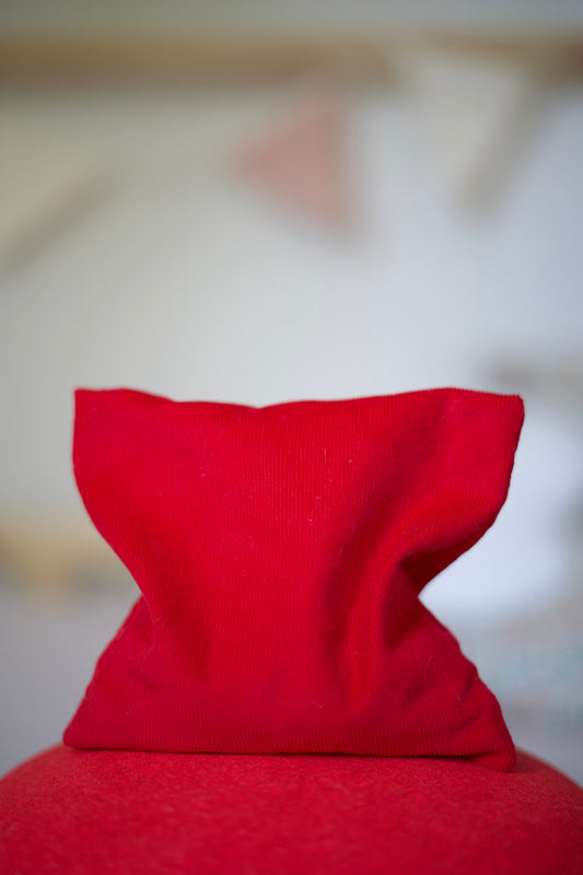 Pit & Play sensorisch pittenzakje in rood