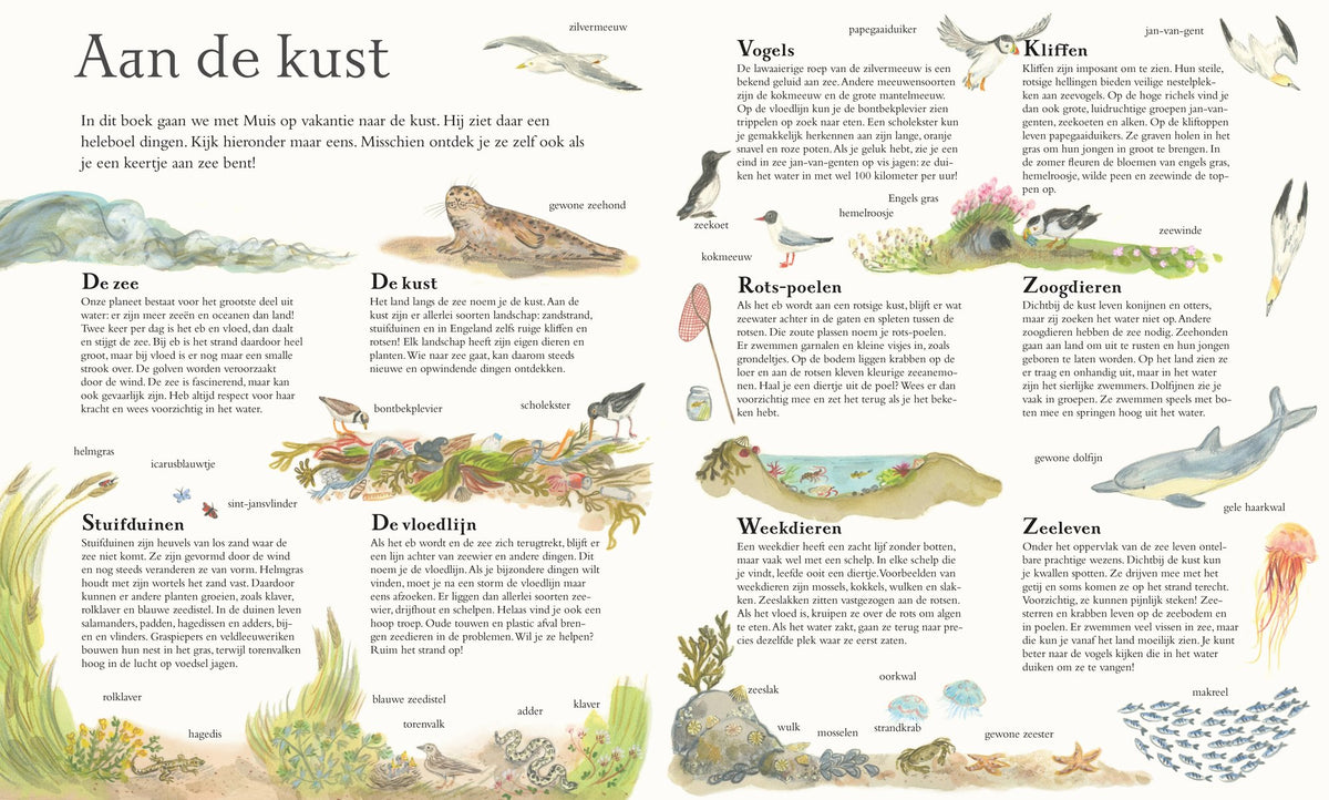 Christofoor Muis aan zee, Alice Melvin