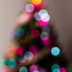 Ziggy Adventskalender 2026 | Ziggy