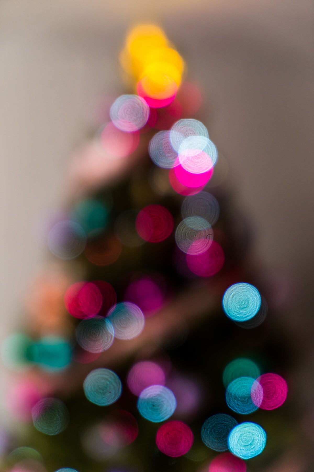 Ziggy Adventskalender 2026 | Ziggy