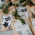 Ziggy Adventskalender 2026 | Ziggy