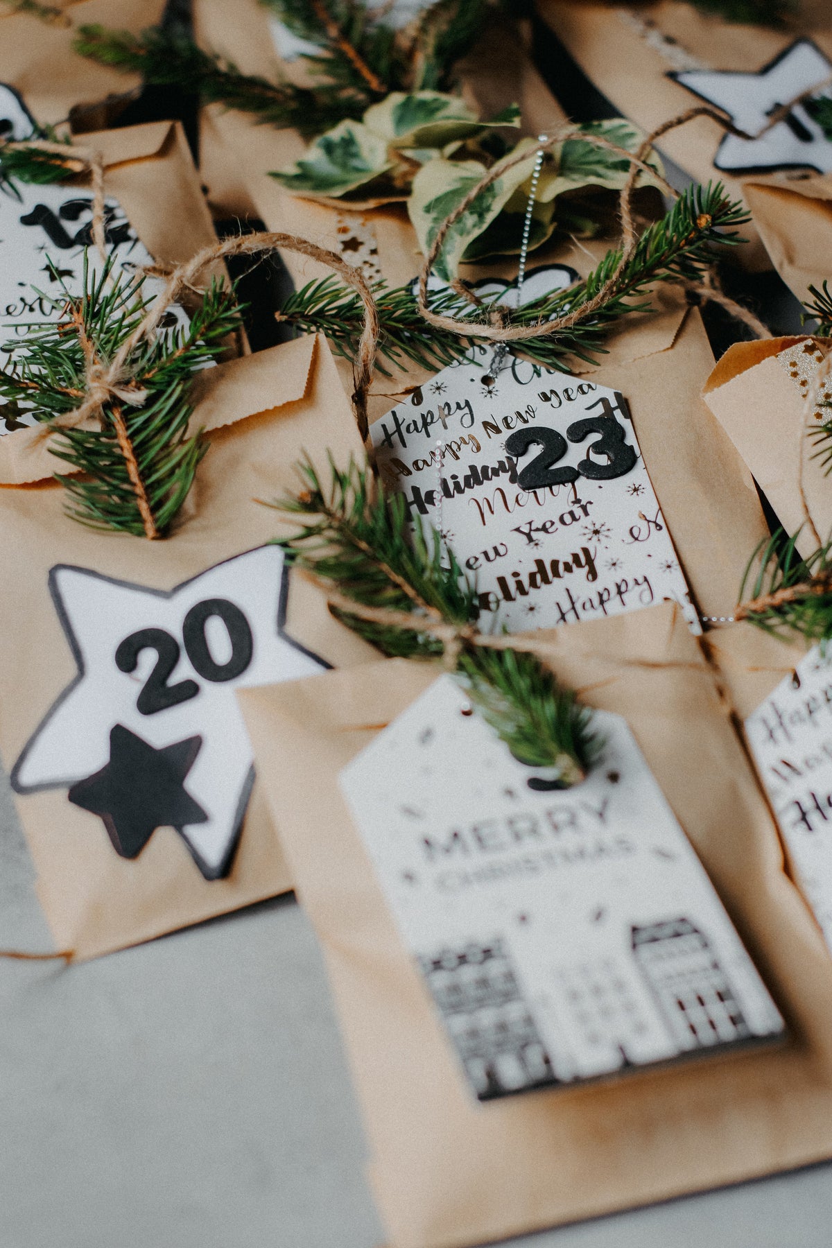 Ziggy Adventskalender 2026 | Ziggy